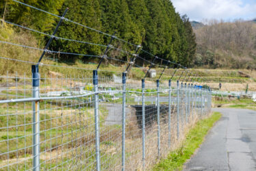 害獣対策の重要性や主要な方法について｜浜松市における取り組み事例と併せて解説します